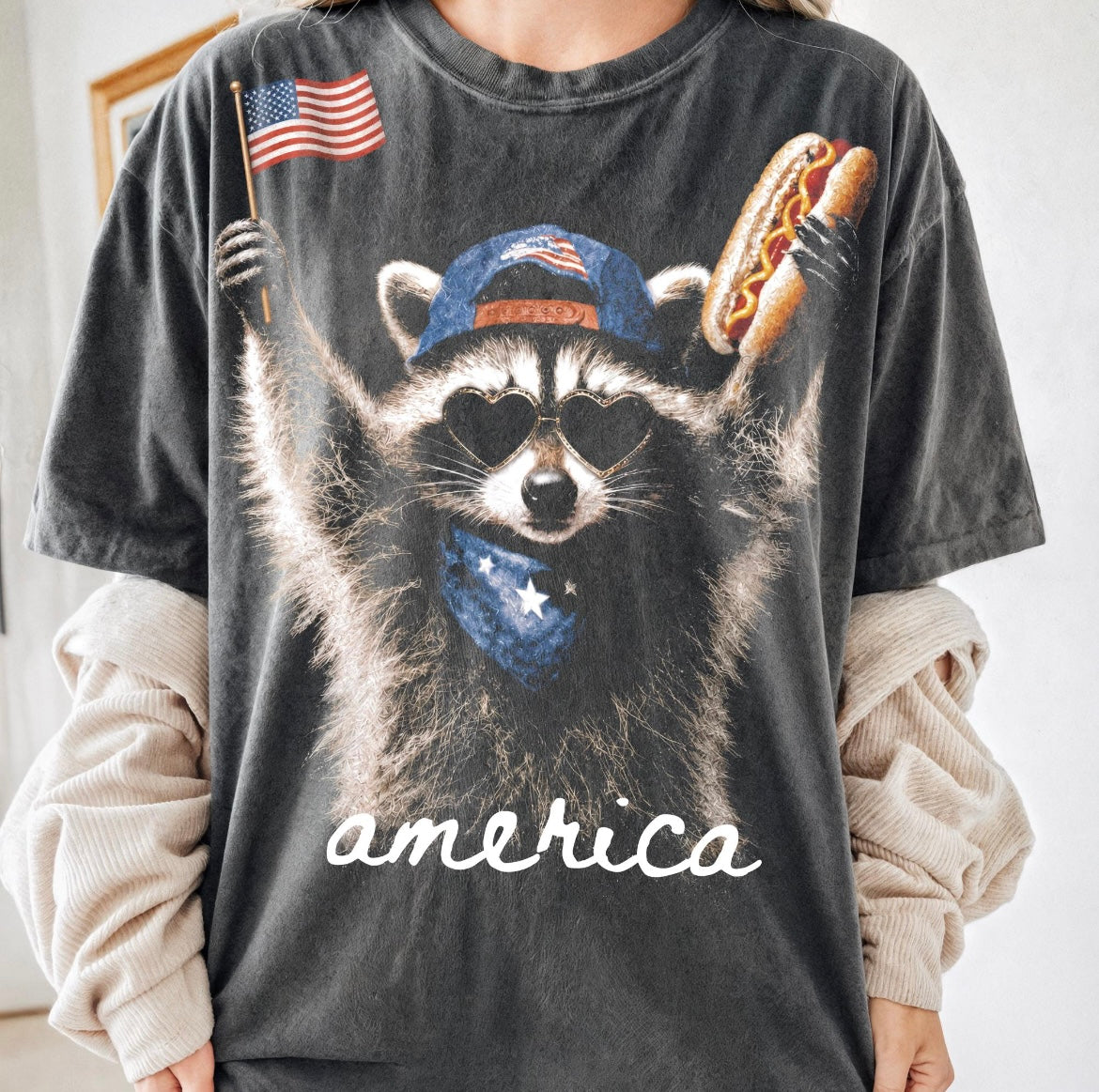 Raccoon America
