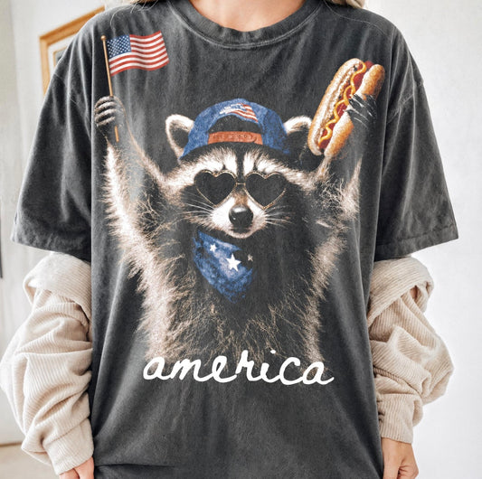 Raccoon America