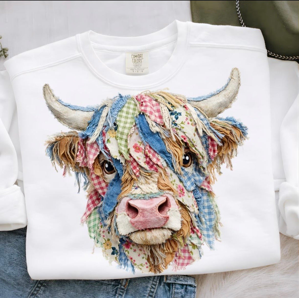 Highland Cow